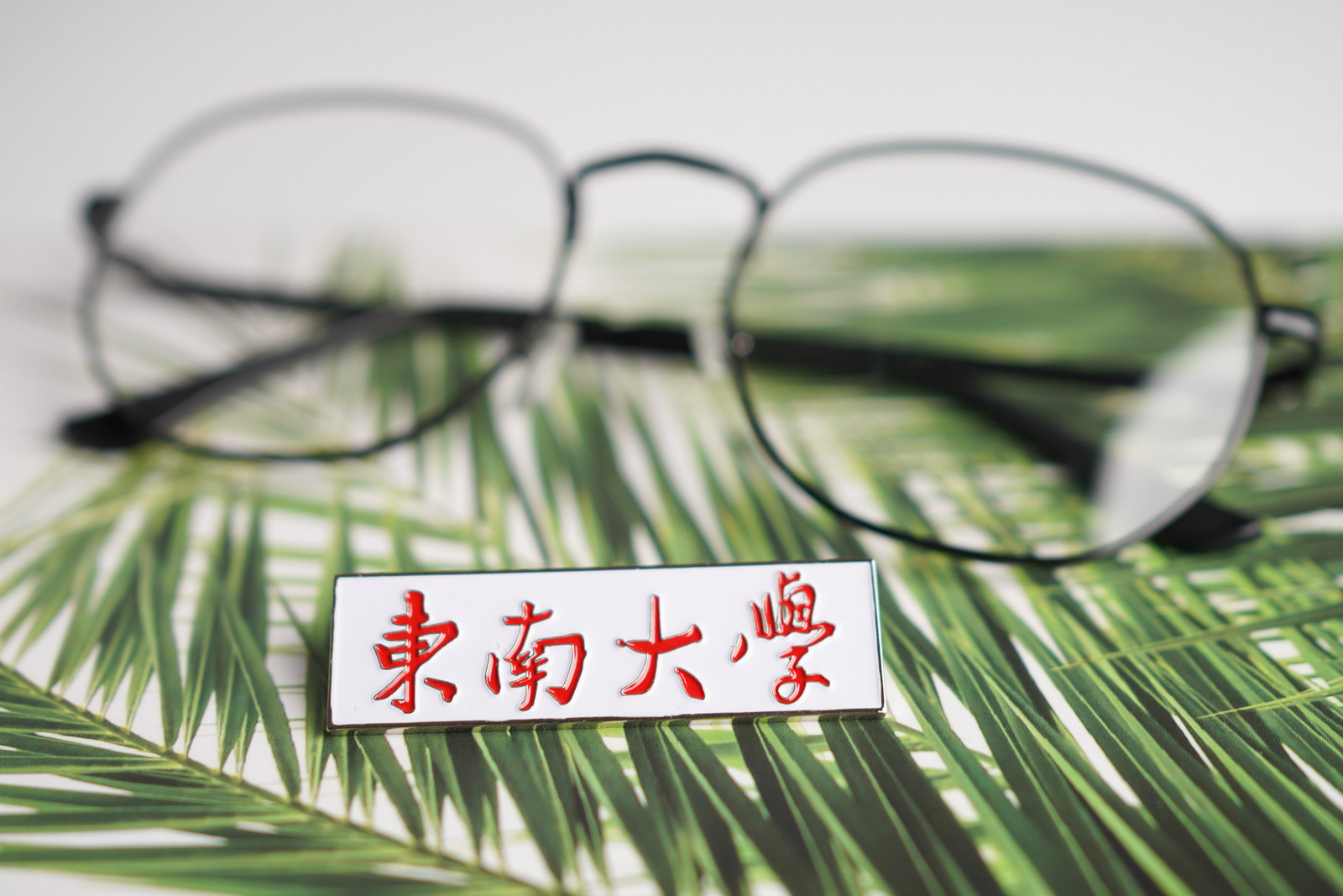 东南大学校徽 东大校徽 东南大学徽章 东大纪念品 东南大学纪念品