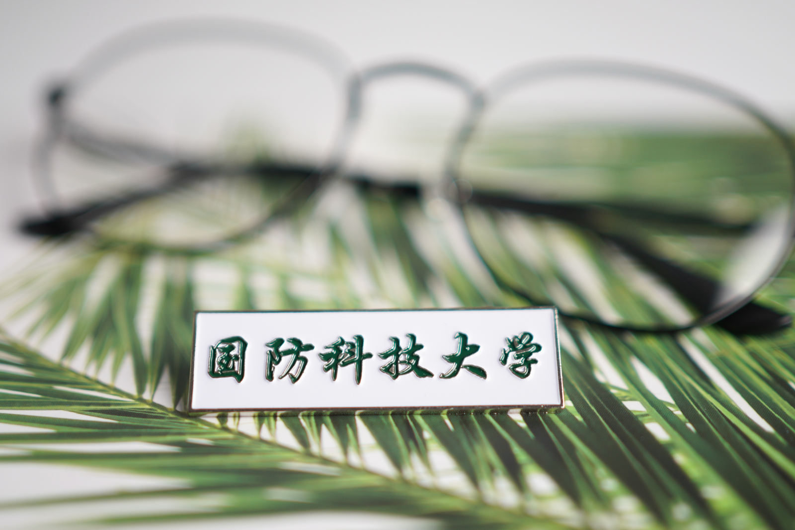 国防科技大学校徽 国防科大校徽 国防科技大学徽章国防科大纪念品