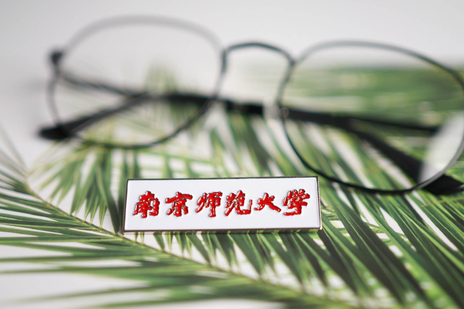 南京师范大学校徽 南师大校徽 南京师范大学徽章南京师范大学纪念