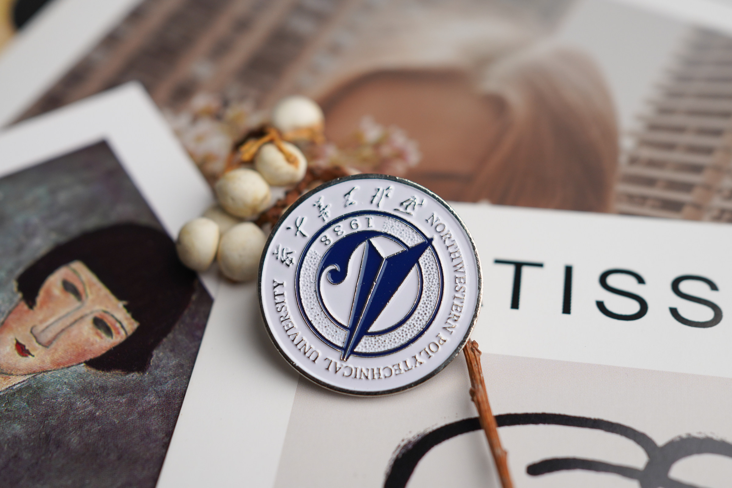 西北工业大学校徽 西工大校徽 西北工业大学徽章 西北工业大学纪