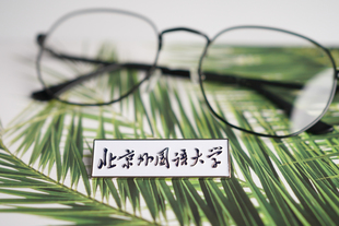 北京外国语大学校徽 北外校徽 北京外国语大学纪念品 北外纪念品