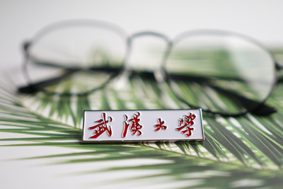 武汉大学徽章纪念品校徽
