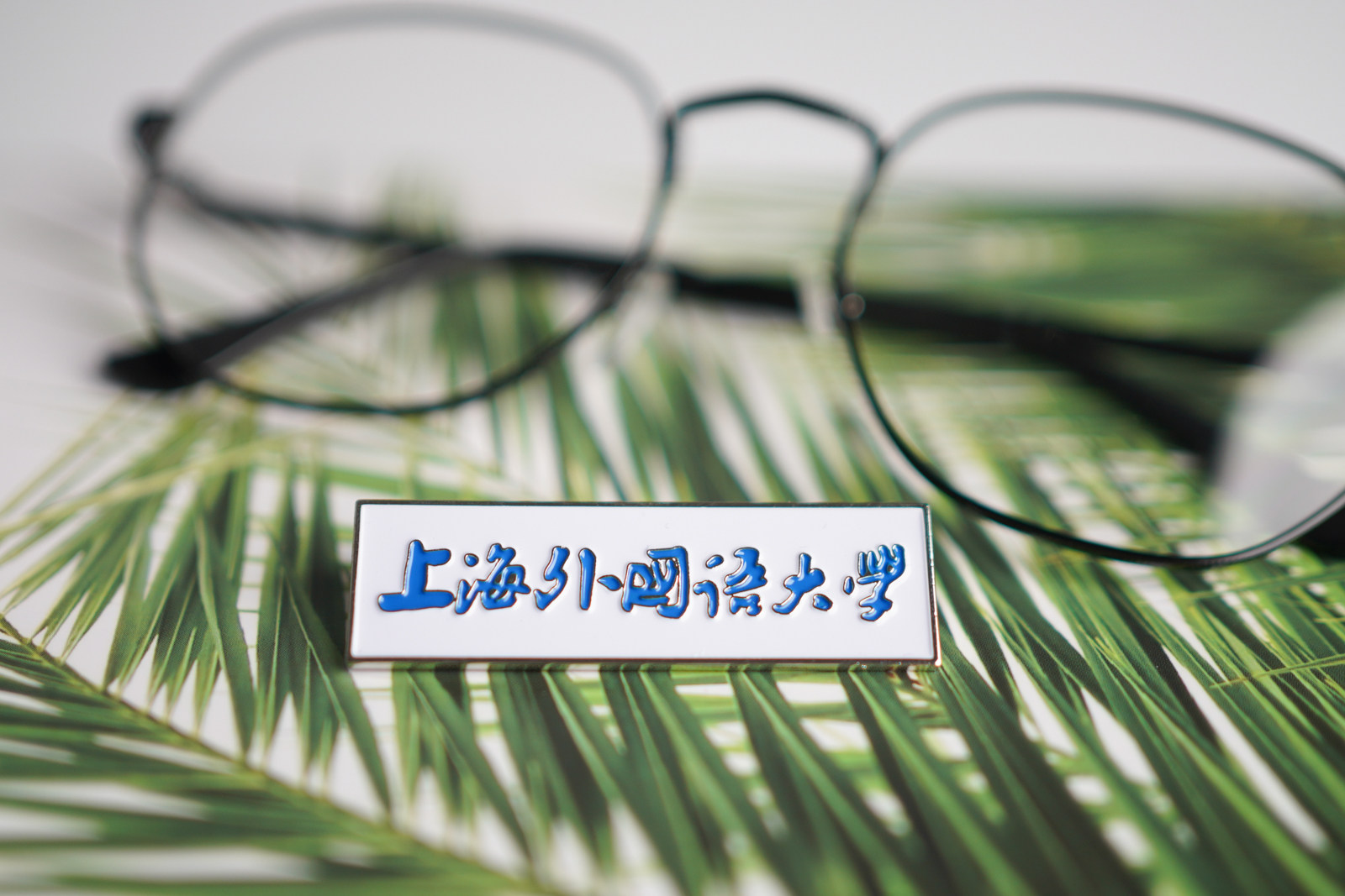 上海外国语大学校徽 上外校徽 上外徽章 上海外国语大学纪念品