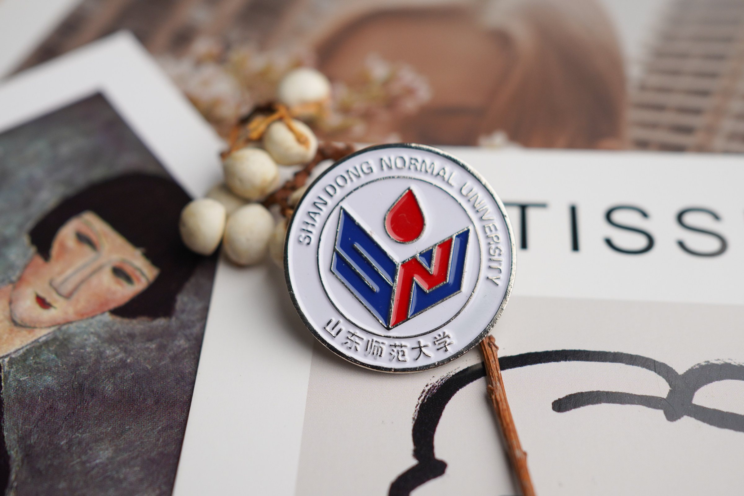 山东师范大学校徽山师大校徽山东师范大学徽章山东师范大学纪念品