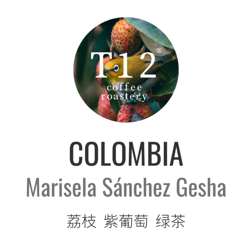 T12哥伦比亚桑切斯瑰夏花香葡萄