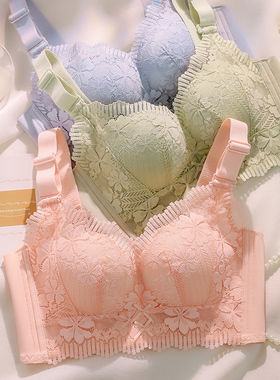 【2.5厘米中厚杯】五排扣聚拢调整型文胸无钢圈小胸收副乳内衣539