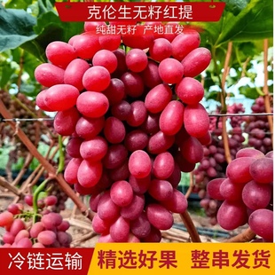 新鲜无籽红提现摘克伦生红提葡萄4/5斤四川凉山西昌农家水果礼盒