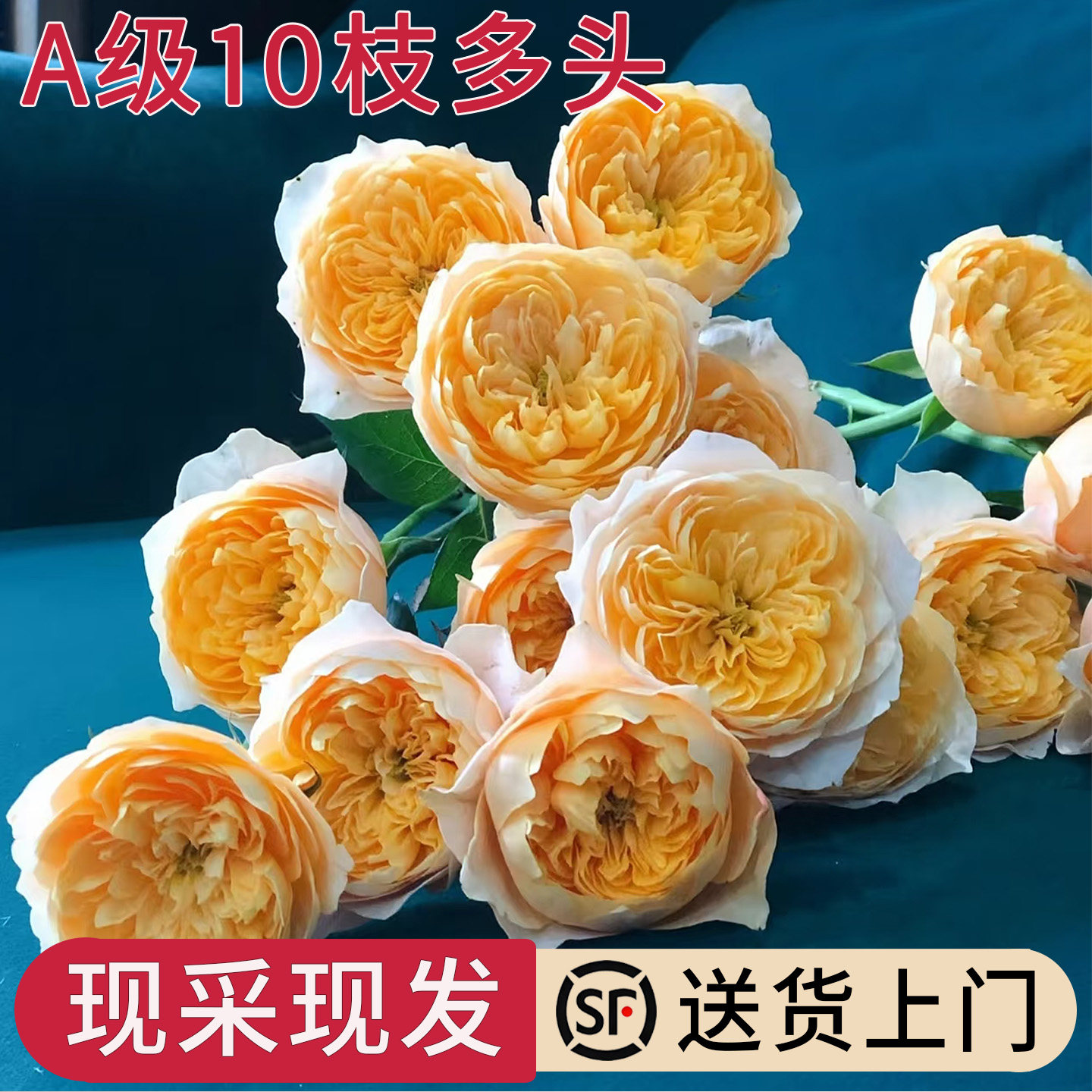 A级多头黄蝴蝶玫瑰超级稀有品种图片