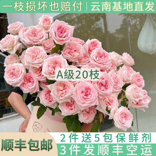 云南A级玫瑰鲜切花粉荔枝20枝