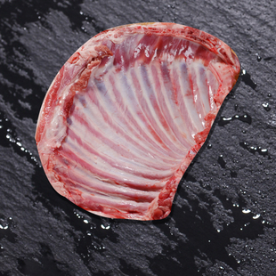 正宗内蒙羊排新鲜羔羊羊排骨原切羊肋排手抓羊排苏尼特羊排有奶香