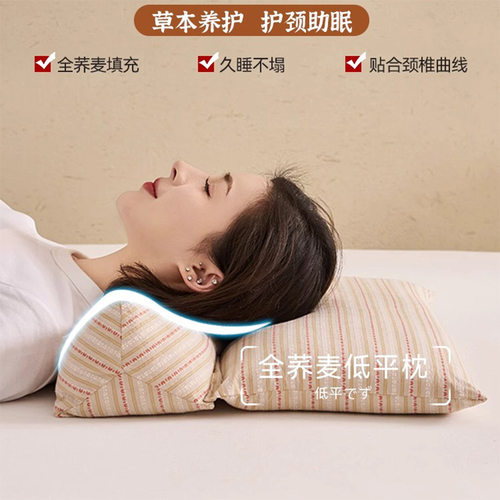枕头【荞麦壳三角连体枕】