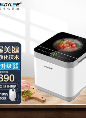 圣帝尼（SUNDYLEE）食材净化机器家用智能全自动果蔬清洗机祛除激