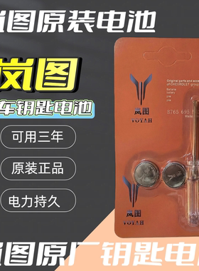岚图梦想家FREE追光PHEV汽车钥匙遥控器CR2032-3V-CR1632纽扣电池