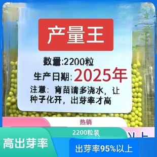 【云贵川】卖得好产量王  抗病王  新贵烟2号颗粒丸衣粉