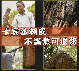 如假包退 正品卡宾达树皮kuba250g 正宗非洲安哥拉男人泡酒料泡茶