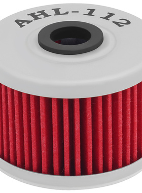 适配春风250NK 力帆KP250K19 KPM200 LF250-3R机油滤芯机油滤清器