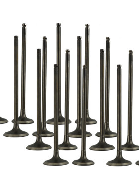 AHL适配铃木GSX-R400 RF400 大红袍78A+VC GSF400 暴徒79A+VC气门