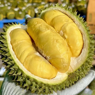 【一物一拍】泰国东部新鲜甲仑榴莲核大超甜带壳一整个老树榴莲