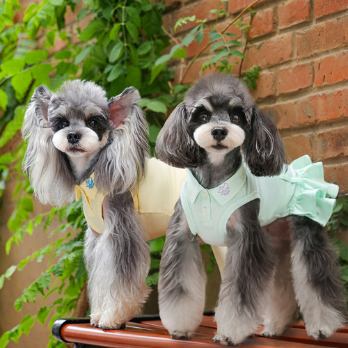 一阅心田POLO衫连衣裙新款狗狗衣服夏季薄款泰迪雪纳瑞