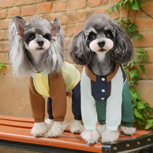 一阅心田防尘裤四脚衣2025年泰迪比熊狗狗凉凉衣防脏防水防雨轻便