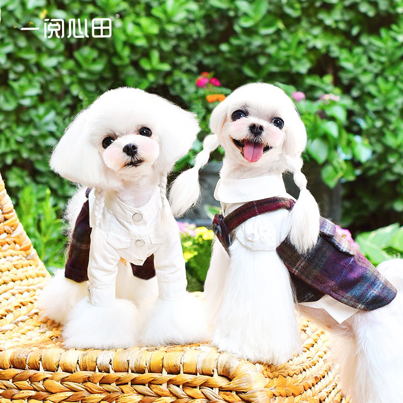 一阅心田网红泰迪狗狗衣服春秋小型犬宠物衣服紫羊毛吊带毛呢马甲 搜又搜 Www Soyouso Com
