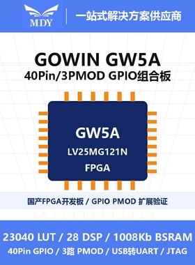 GW5A-LV25MG121N FPGA开发板 40Pin GPIO PMOD接口扩展模块