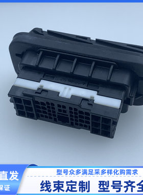 原装 汽车 连接器 线束插头 51孔 胶壳 外壳 2109335-2公母 端子