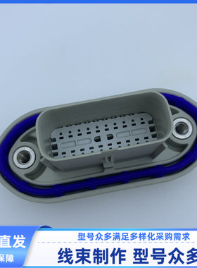 原装汽车 连接器 20孔 214468-1002 胶壳外壳 护套 线束插头 现货
