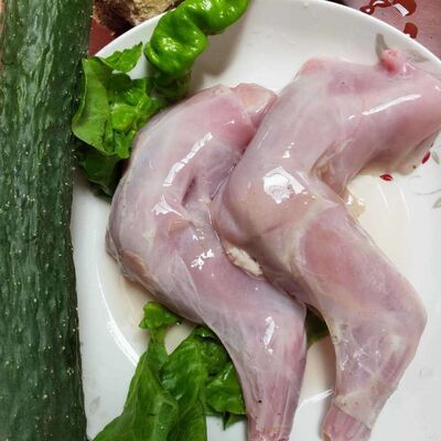 新鲜兔前腿 农家散养兔肉 冷冻生鲜食材 烧烤卤味原料顺丰包邮