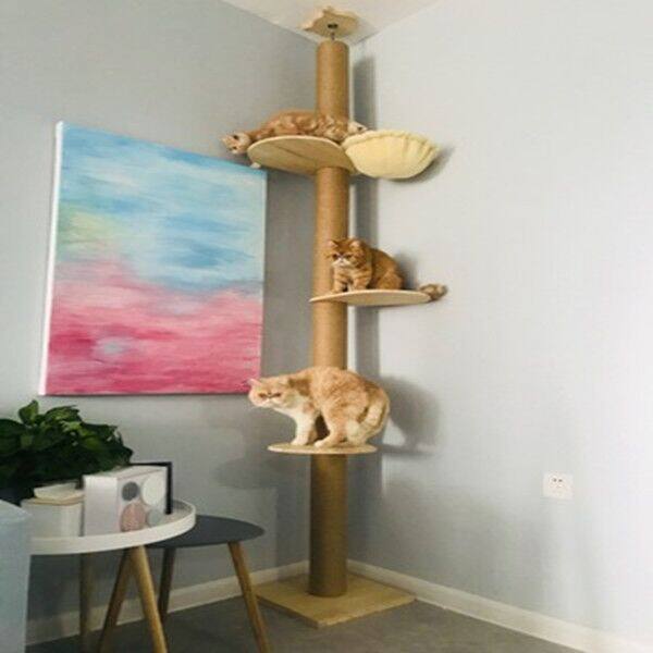 一年保修进口松木通天柱实木猫爬架顶天立地木质猫家具猫窝猫树在类目 宠物/宠物食品及用品, 猫/狗玩具, 猫爬架中 - 来自Buy2taobao.com提供专业的淘宝代购服务