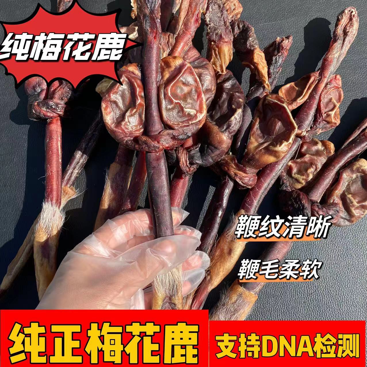 梅花鹿鹿鞭珍鹿佰集纯正