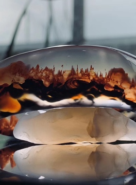 直播专用链接请勿乱拍