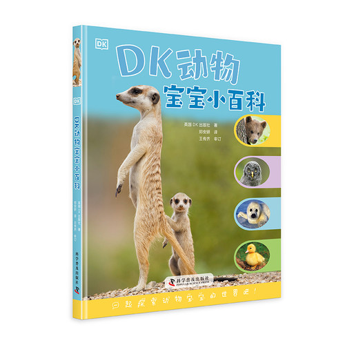 DK动物宝宝小百科一起探索动物宝宝的世界吧！3-6-12岁儿童了解动物世界知识课外阅读图文书籍 动物宝宝百科科普畅销图书
