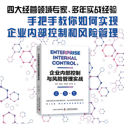 企业内部控制与风险管理实战 搭建内部控制与风险管理体系，为企业的经营发展保驾护航