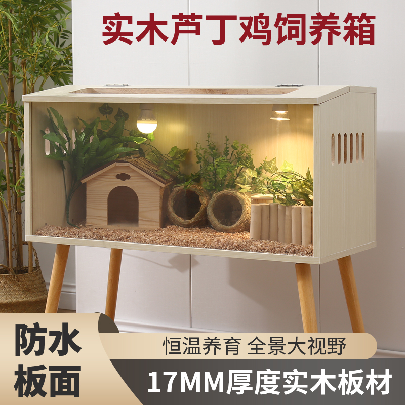 芦丁鸡饲养箱恒温加热全景笼子