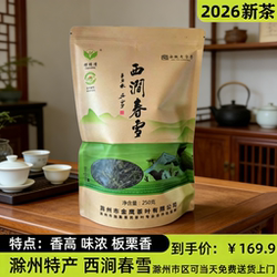 施集西涧春雪安徽滁州特产绿茶一级金鹰茶厂茶叶愣头青安徽老字号