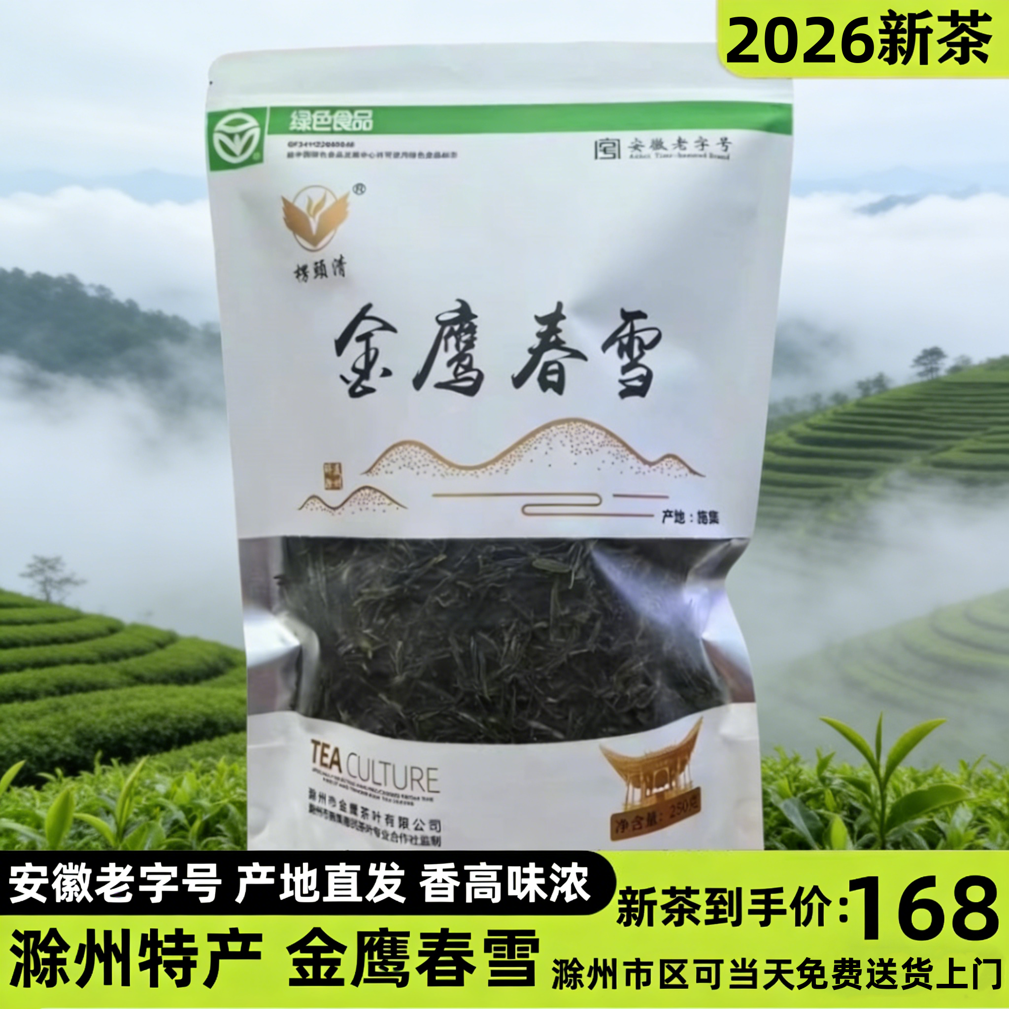安徽滁州特产送礼正宗施集西涧春雪金鹰茶厂愣头炒青绿茶叶板栗香