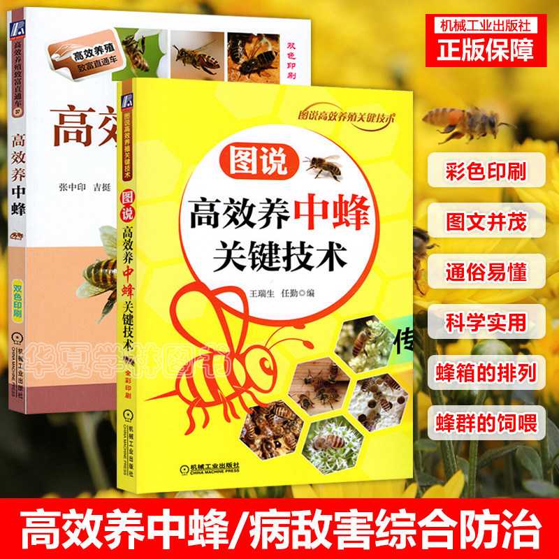 全2册 高效养中蜂 图说高效养中蜂关键技术 全套配图中华蜂土蜂蜜蜂饲养新技术病虫害防治一本通培训教程实用中蜂养殖技术大全书籍