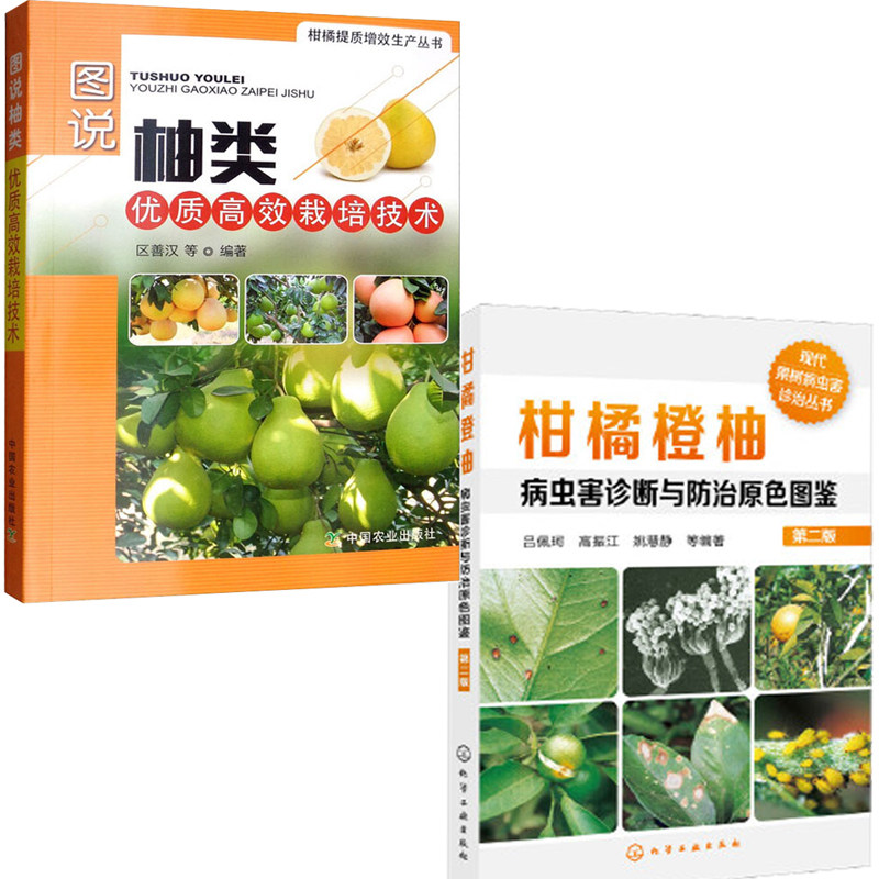 2册 图说柚类优质高效栽培技术+柑橘橙柚病虫害诊断与防治原色图鉴 芦柑柚子沙田柚红肉蜜柚果树果树栽培果树修剪种植技术大全书籍
