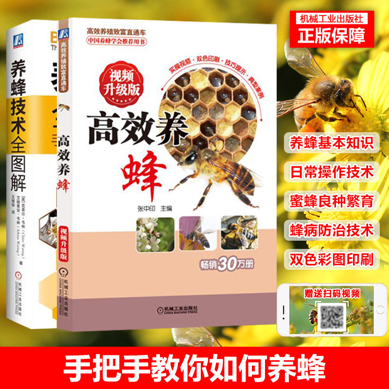 高效养蜂 视频升级版+养蜂技术全图解 手把手教你如何养意大利蜂实用技术视频教程培训 2018蜜蜂养殖全套致富直通车书籍