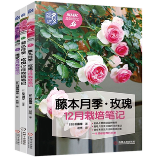 全3册 灌丛+藤本月季 玫瑰+绣球12月栽培笔记 新手养花大全 花卉种植养殖书籍 家庭养花实用大全 有格调的小家 植物病虫害防治问答