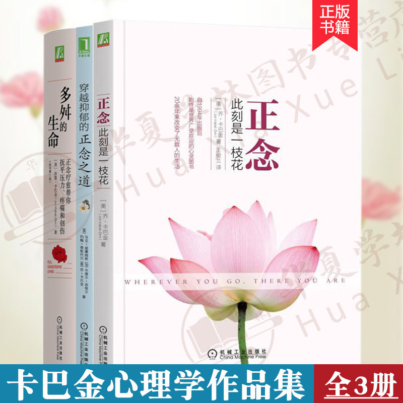 卡巴金心理学作品全3册 正念 此刻是一枝花 多舛的生命 穿越抑郁的