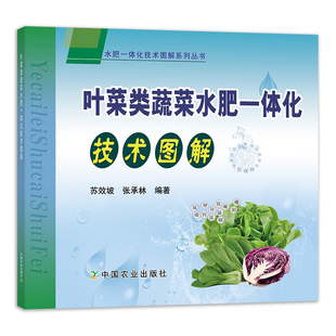 大白菜花椰菜生菜芹菜施肥方案制定 大棚绿色蔬菜高效栽培教程 病虫害防治技巧 苏效坡 叶菜类蔬菜水肥一体化技术图解
