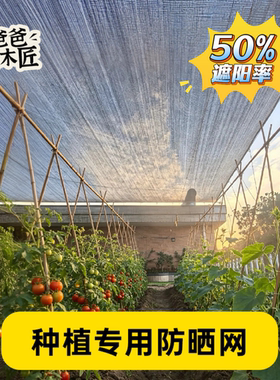遮阳网家庭种菜防晒网菜园降温