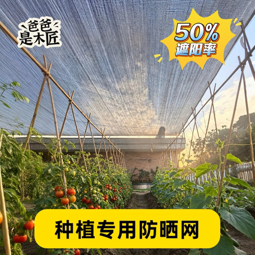 遮阳网家庭种菜防晒网菜园降温