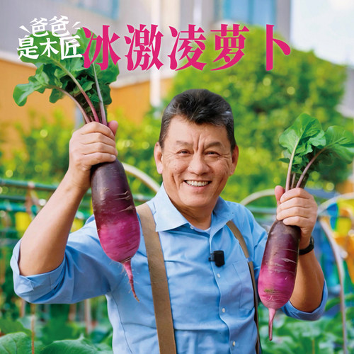 冰激凌萝卜种子冰淇淋水果罗卜