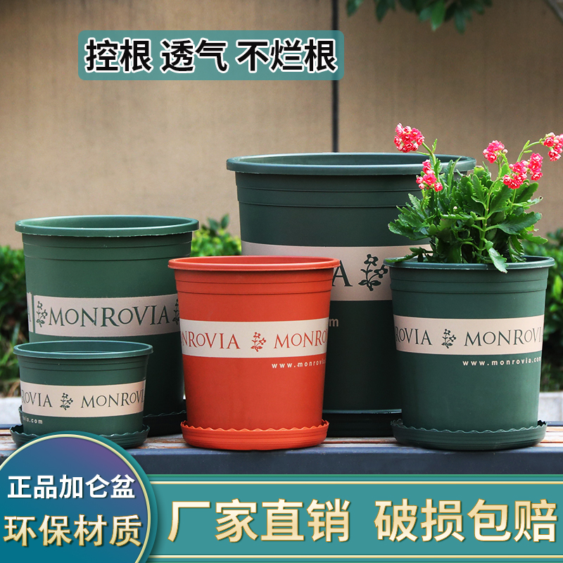 矮胖新加仑盆二代树脂绿萝花盆