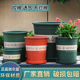 加厚大号绿萝花盆 包邮 矮胖新加仑盆二代树脂塑料花盆特价 处理清仓