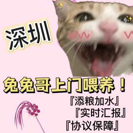 深圳南山罗湖龙岗上门喂养猫狗