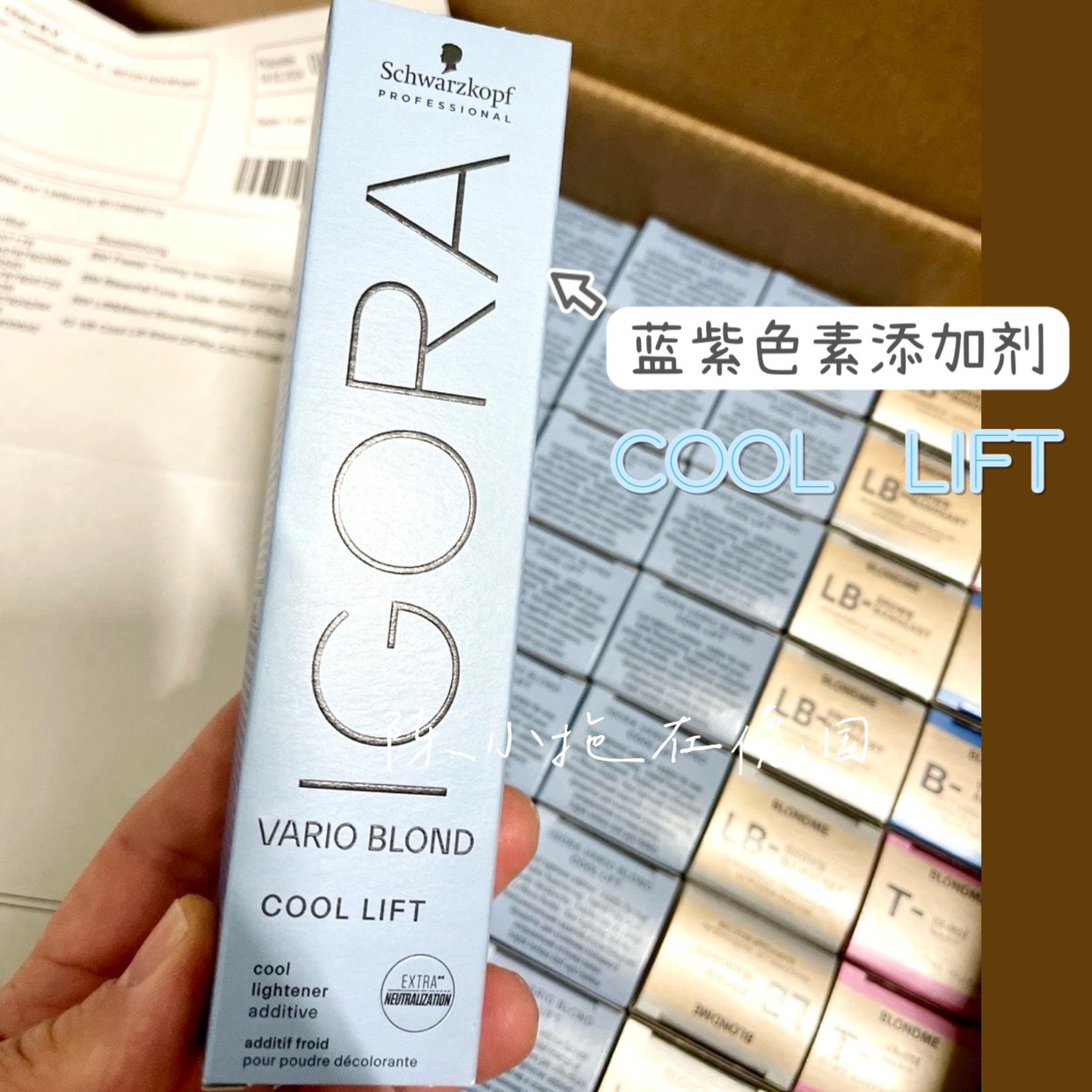 施华蔻igora varioblond cool lift蓝色蓝紫色素漂